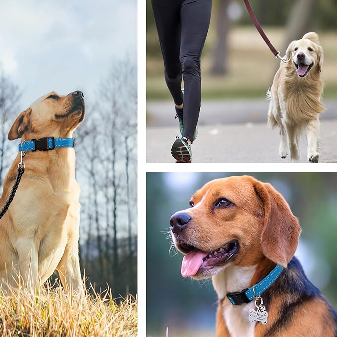 PaiPaitek Shock Collar Replacement Strap 2-Pack, Reflective & Adjustable 3/4" Dog Collar for Training - Compatible with Jugbow, PetSafe, Bousnic, Garmin Replacement Collar Strap - 2 Pack