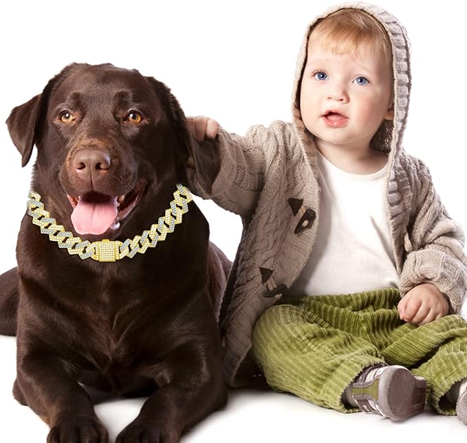 Metal Diamond Dog Chain Dog Training Chain with Secure Buckle Pet Collars for Large Medium Dogs