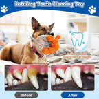Squeaky Dog Toys, Tough Chew Toys for Dogs, Crinkle Interactive Squeaky Stuffed Dog Toy for Small Medium Large Breeds, Plush Dog Toy to Keep Them Busy, Pet Toys for Dogs