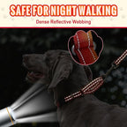Martingale Collar for Dogs Large Medium Small Heavy Duty Buckle Dog Collar with Tag Ring Reflective Nylon Gradient Dog Collar No Pull Training Collar