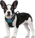 rabbitgoo Dog Harness No Pull with 2 Leash Clips, Adjustable Soft Padded, Reflective Oxford No Choke Pet Vest with Easy Control Handle for Small Dogs, Blue Coral, S