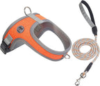 Dog Harness and Leash Set, No Pull Saddle Style Pet Harness, Breathable Mesh Adjustable Reflective Dog Vest for Dogs and Cat Medium Small Harness 2 D-Rings (Orange, XS)