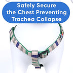 Pawtitas Multicolor Step-in Dog Harness – Adjustable No-Pull Vest for Puppies to Seniors, Safe & Comfortable XS Grey/Blue/Green