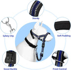 BARKLESS Soft Dog Head Collar, Patented Padded No Pull Head Halter, Training Nose Leash with Safety Link for Medium Large Dogs, Adjustable Muzzle Leash, Easy Control for Walking(Blue, L)