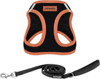 Best Pet Supplies Voyager Step-in Air All Weather Mesh Harness and Reflective Dog 5 ft Leash Combo with Neoprene Handle, for Small, Medium and Large Breed Puppies - Black/Orange Trim, X-Large