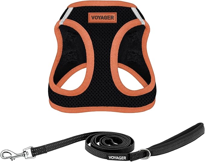 Best Pet Supplies Voyager Step-in Air All Weather Mesh Harness and Reflective Dog 5 ft Leash Combo with Neoprene Handle, for Small, Medium and Large Breed Puppies - Black/Orange Trim, Medium