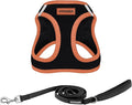 Best Pet Supplies Voyager Step-in Air All Weather Mesh Harness and Reflective Dog 5 ft Leash Combo with Neoprene Handle, for Small, Medium and Large Breed Puppies - Black/Orange Trim, Medium