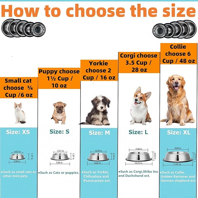 2 Pack Stainless Steel Dog Bowls with Rubber Bottom, Anti-Slip Heavy Duty Premium Quality Pets Feeder Bowls for Dogs and Cats and More (1½Cup / 10oz)