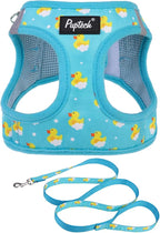 PUPTECK Dog Harness and Leash Set for Small Medium Dogs No Pull Step-in Soft Mesh Puppy Cat Vest Harnesses Reflective at Night, Blue Duck, S