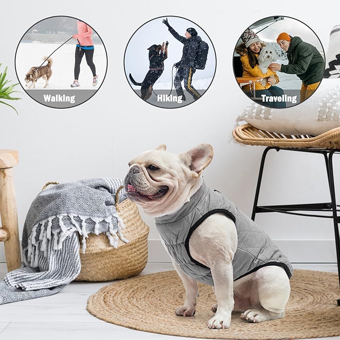 SCENEREAL Winter Dog Vest Coat with Harness Built in, Warm Dog Jacket, Small Medium Dogs Cold Weather Coats with Zipper, Fleece Puffer Vest Windproof Snow Clothes for Puppy Pet
