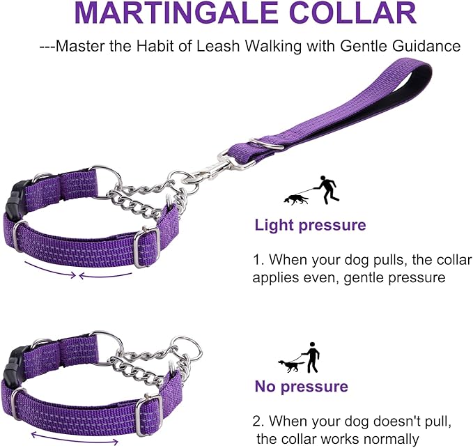 Martingale Collars,Reflective Dog Collar,Side Release Buckle,Adjustable Chain Training Pet Collars (Purple, S,Neck 10"-15")