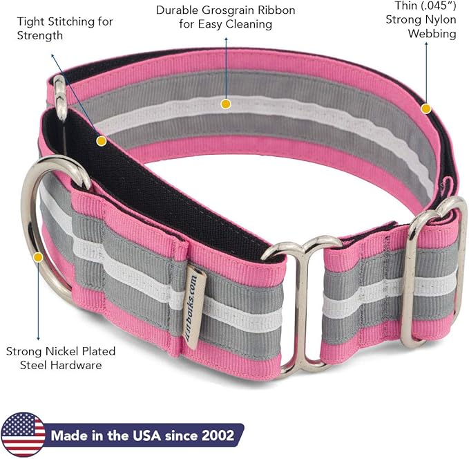 If It Barks - 1.5" Martingale Collar for Dogs - Adjustable - Nylon - Strong and Comfy - Ideal for Training - Made in USA - Custom, Spunky