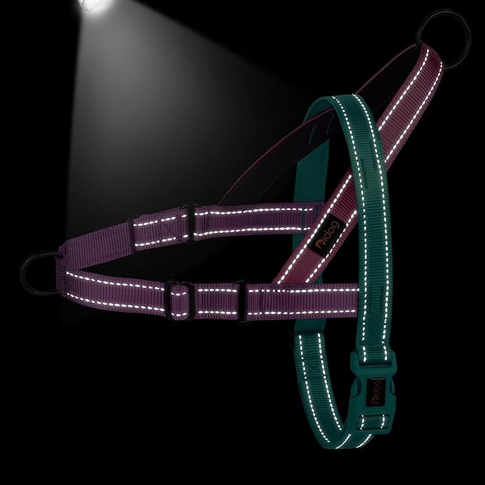 Didog No Pull Dog Harness with Soft Padded Handle, Quick Fit & Lightweight Adjustable Vest Harness, Easy for Training Walking for Small & Medium and Large Dogs(Dark Green,M)