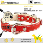 ADITYNA Heavy-Duty Leather Dog Collar for Small Dogs - Soft Padded for Comfort - Small Dog Collar for Walking, Training, and Hiking