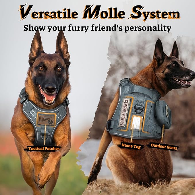rabbitgoo Dog Harness for Large Dogs No Pull, Tactical Service Pet Vest with Molle and Control Handle, Adjustable and Reflective Military Harness for Easy Walking and Training, Grey, L