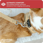 Downtown Pet Supply Step-in Dog Harness – No Pull, Adjustable Padded Mesh with Reflective Trim, Secure Buckle Strap – Comfortable & Breathable Small Dog Harness, Medium, Khaki