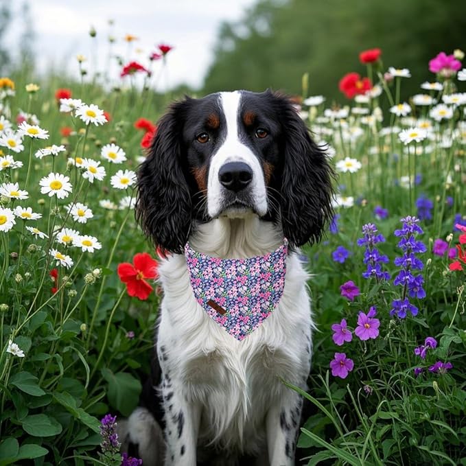 Lionet Paws Spring Summer Dog Bandana Washable Cotton Blue Handkerchief Scarf Triangle Floral Oxalis Bandana for Medium Large Dogs Girl Boy