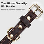 Joytale Leather Dog Collar for Medium Dogs, Genuine Thick Solid Leather, Heavy Duty Sturdy Pet Collar, Adjustable Metal Pin Buckle for Reliable Daily Training and Walking, Brown, M