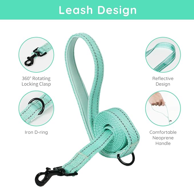 BELLA & PAL Small Dog Harness with Leash Set, Light Green, Size S, No Pull, Reflective Strips, Step-in Design
