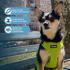 Voyager Step-in Pet Harness - All Weather Mesh, Adjustable Step in Harness for Cats and Dogs by Best Pet Supplies - Lime Green, XS