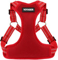 Best Pet Supplies Voyager Adjustable Step-in Flex Breathable Mesh Dog Harness for Small Medium Large Dogs (Red), XS