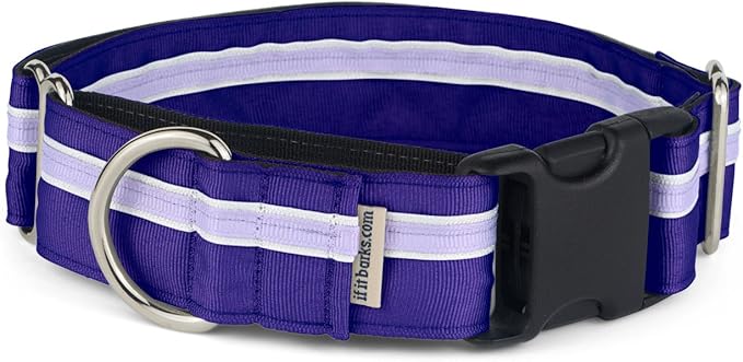 If It Barks - 1.5" Martingale Collar for Dogs - Quick Snap Release Buckle - Adjustable - Nylon - Strong and Comfy - Ideal for Training - Made in USA - Small, Grape Crush