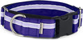 If It Barks - 1.5" Martingale Collar for Dogs - Quick Snap Release Buckle - Adjustable - Nylon - Strong and Comfy - Ideal for Training - Made in USA - Medium, Grape Crush