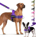 Lukovee No Pull Dog Harness & Leash Set - Heavy Duty Dog Vest Harness with Soft Padded for Medium Large Dogs, Adjustable Reflective Tactical Pet Harness for Easy Walk and Training (S, PU)