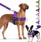 Lukovee No Pull Dog Harness & Leash Set - Heavy Duty Dog Vest Harness with Soft Padded for Medium Large Dogs, Adjustable Reflective Tactical Pet Harness for Easy Walk and Training (XL, PU)