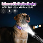 Martingale Dog Collar, Reflective No Pull Training Collar with Quick Release Buckle & USA Flag, Heavy-Duty Nylon, Adjustable for Small Medium Large Dogs (M,Purple