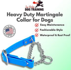 Martingale Collar for Dogs, Biothane, Stainless Steel Hardware, No Pull, Made in The USA, Professional Grade, Large Light Blue