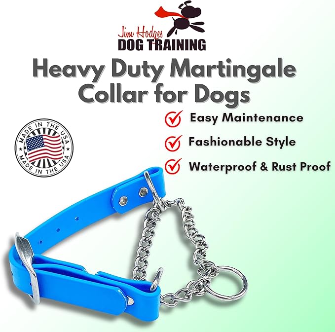 Martingale Collar for Dogs, Biothane, Stainless Steel Hardware, No Pull, Made in The USA, Professional Grade, Large Light Blue