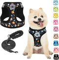 BEAUTYZOO Dog Harness Small Sized and Leash Set, Step-in Soft Padded Mesh Puppy Vest, Reflective Dog Harness No Pull No Choke, Breathable Easy Walking Vest Harnesses for Girl Boy Pets, Black Planet S