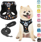 BEAUTYZOO Dog Harness Small Sized and Leash Set, Step-in Soft Padded Mesh Puppy Vest, Reflective Dog Harness No Pull No Choke, Breathable Easy Walking Vest Harnesses for Girl Boy Pets, Black Planet S