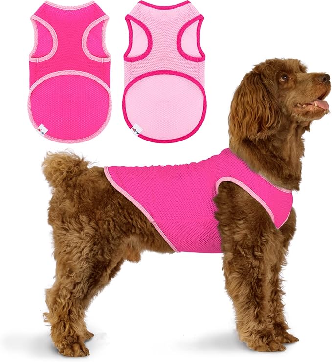 2 Pack Cooling Shirts for Dogs, Lightweight Mesh Breathable Dog Shirt for Medium Dogs Girl,Sun-Protection Sleeveless Shirts for Dog&Cat Puppy Vest Pet Apparel P23ST00601XXL