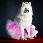 2 Pcs Dog Crown Headband Dog Tutu Dress Set Crystal Rhinestone Tiara Crown Tutu Skirt Pet Dress Costume for Puppy Birthday Party Wedding Photo Prop Costume(Large,Pink Purple)
