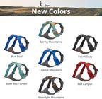 Ruffwear, Front Range Dog Harness, Reflective Soft Padded Everyday Harness with Dual Leash Clips, Adjustable and Lightweight Fit for Training or Walking for All Dogs, Coastal Mountains, XX-Small