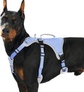 Huntboo Escape Proof Dog Harness, Escape Artist Harness, Reflective Dog Harness with Handle, Durable,Adjustable Vest for Small Medium Large Dogs Walking, Training,and Running Gear(Technicolor Blue,XL)