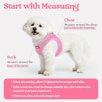 rabbitgoo Dog Harness Medium Sized and Leash Set, Step in Soft Light Puppy Vest, Breathable Mesh Pet Harness, Reflective for Safe Easy Walking, Light Pink XXL