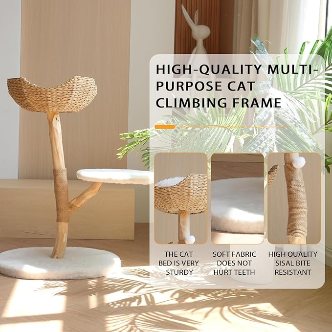 Modern Cat Tree, Natural Pear Wooden Cat Tower for Indoor Cats, Real Branch Luxury Cat Condo with Scratching Post & Hanging Toy Ball（35" Tall）
