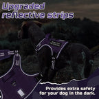 rabbitgoo Tactical Dog Harness for Large Dogs, No Pull Military Service Vest with Handle & Molle, Easy Control for Training Walking, Adjustable Reflective Straps, Purple, L