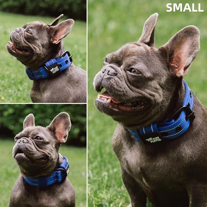 Tuff Pupper Heavy Duty Tactical Dog Collar | 1.25" Wide Ballistic Nylon | Reflective Stitching | Integrated ID Tag Holder | Stainless Steel Buckle | Padded Lining | Small & Medium Dogs (Blue, Small)