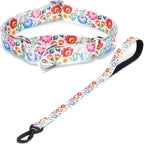 Martingale Collar and Leash Set, Premium No Slip Martingale Collar for Dogs Medium Large, Girl Dog Collars Training (NO22, M)