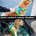 PHOEPET No Pull Dog Harness, Unique Colors Reflective Adjustable Dog Vest, with Soft Training Handle Metal Clips for Small Medium Large Dogs (Blue Base & Green Straps,L)