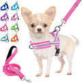 Lukovee No Pull Dog Harness and Leash Set, Soft Padded Small Dog Harness, Neck & Chest Adjustable Reflective Vest Puppy Harness with 4ft Lightweight Anti-Twist Dog Leash for Small Dogs (XS, Fuschia)