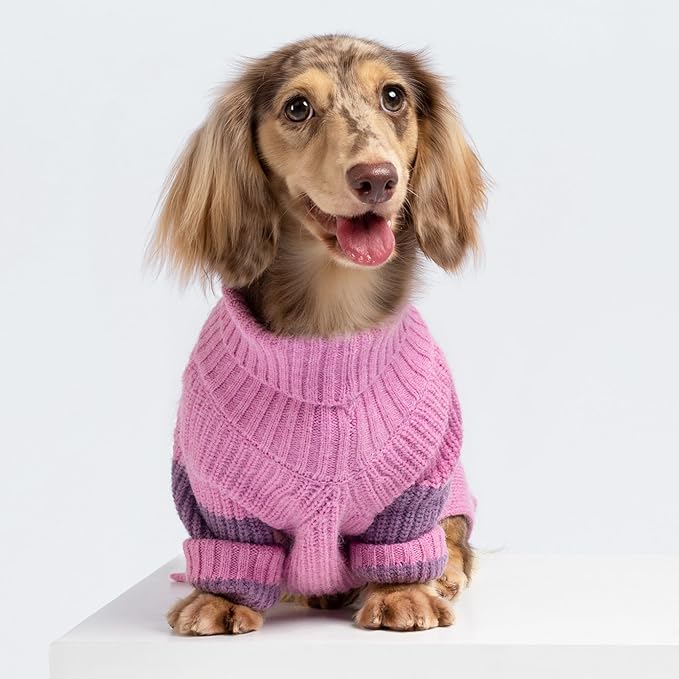 Fitwarm Chunky Knit Dog Sweater, Thermal Dog Winter Clothes for Small Dogs Girl, Doggy Turtleneck Sweater, Pet Outfit, Plum, Black, Medium