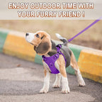 Dog Harness Step in Dog Vest Harness, Reflective Adjustable Puppy No Pull Harness Breathable Soft for Small and Medium Dogs Cats, Purple, XS