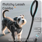 Eagloo Small Dog Harness and Leash Set, Step in Puppy Vest with Breathable Soft Mesh, Walking Reflective Pet Harness for Small Dogs, Gray, S