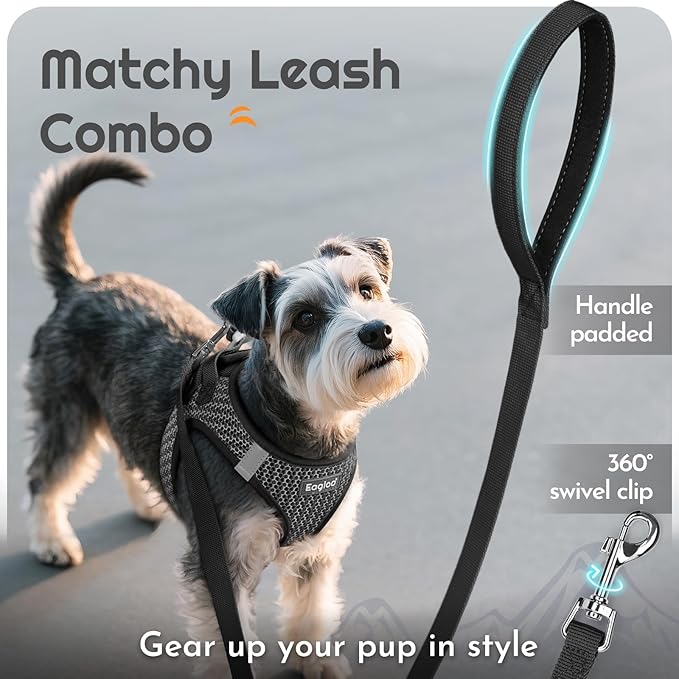 Eagloo Small Dog Harness and Leash Set, Step in Puppy Vest with Breathable Soft Mesh, Walking Reflective Pet Harness for Small Dogs, Gray, S