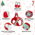 BEAUTYZOO Step in Dog Harness and Leash Set,Reflective Dog Harness No Pull No Choke Puppy Harness for Small Medium Large Dogs Cats,Soft Padded Mesh Vest Harnesses for Girl and Boy Pets,Christmas XS